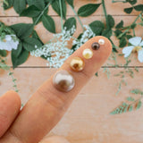 Flat Back Pearls Brown Series in Storage Box - 2000 pieces