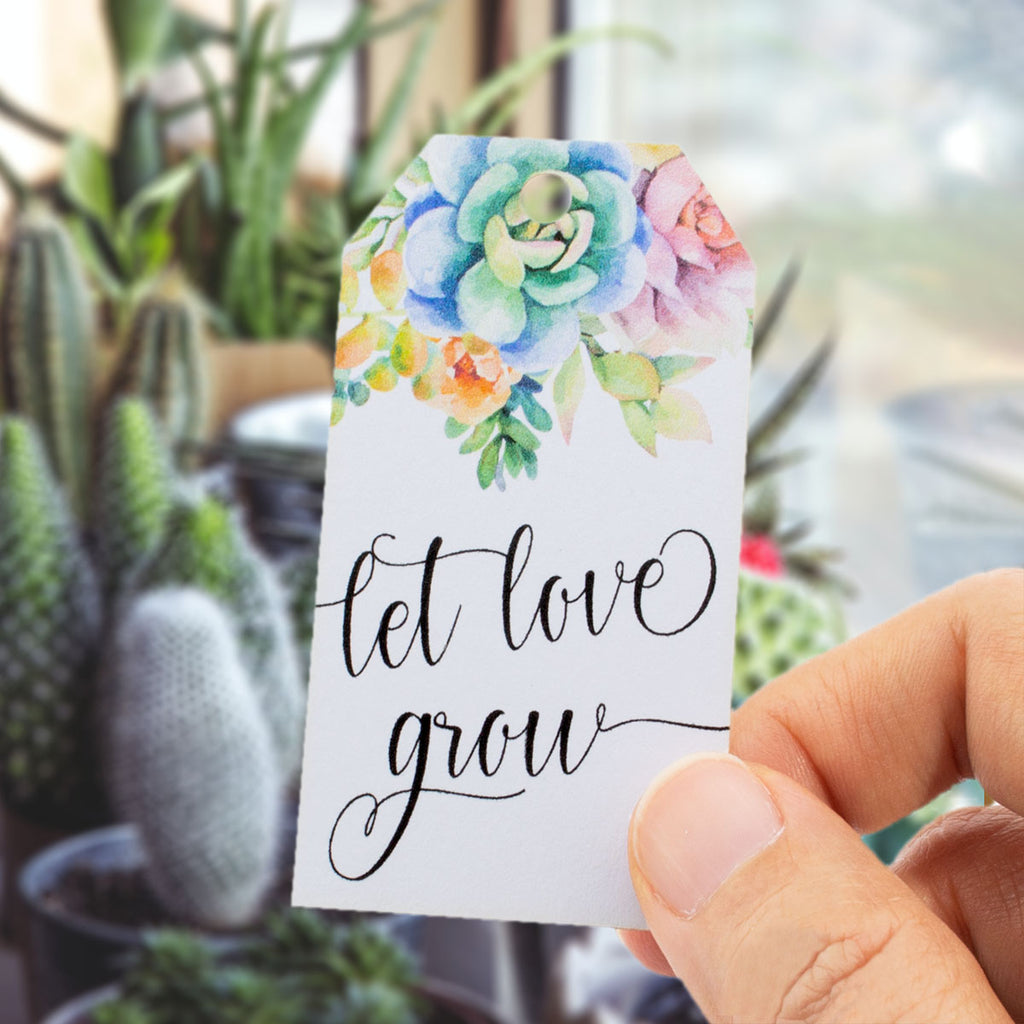 succulent gift tags Let Love Grow Wedding Favor Gift Tags with Watercolor Succulent Design – Summer-Ray.com