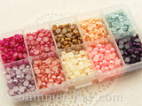 Flat Back Pearls 5mm Mixed Color in Storage Box - 2000 pieces