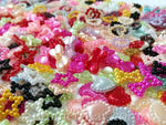 Pearl Embellishment Multi Mixed Design and Color - 1100 pieces