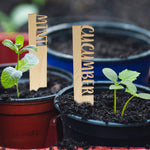 Wooden Potted Plant Markers with Engraving and Plant Names