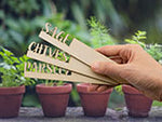 Wooden Potted Plant Markers with Engraving and Plant Names