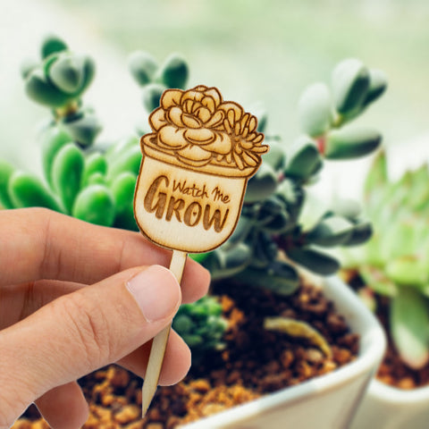 watch me grow succulent Mini Wooden Watch Me Grow Signs for Baby Shower Cactus/Succulent Favor – Summer-Ray.com