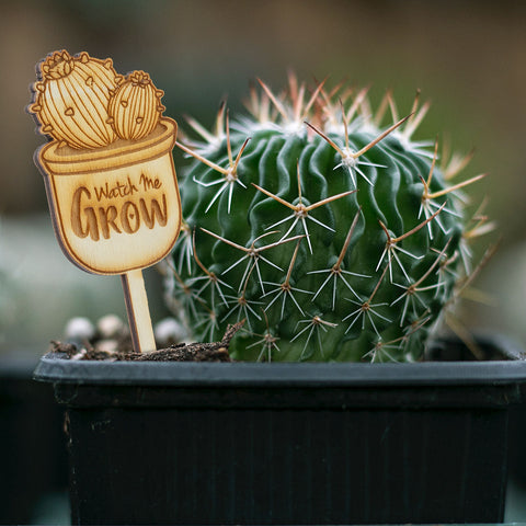 Mini Wooden Watch Me Grow Signs for Baby Shower Cactus/Succulent Favor